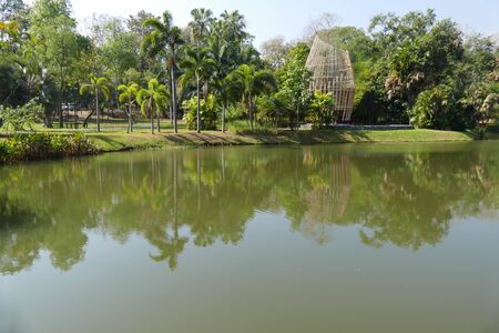 view of the tree and pond in the parkの写真素材