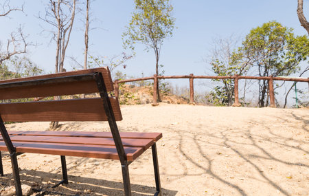 wooden bench for resting on the hill in forest in summer