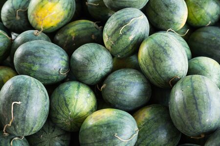 pile of watermelon fruit for sale in the marketの写真素材