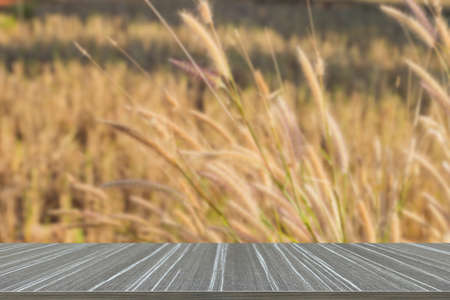 poaceae flower meadow field (blur background and wooden table for displaying your product)の写真素材