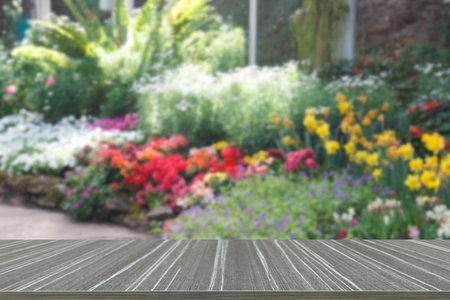 blurry defocused image of flower in the garden  (blur background and wooden table for displaying...