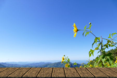 Tree marigold, Mexican tournesol, Mexican sunflower, Japanese sunflower on the hill (blur background with wood table top for display or montage your product)の写真素材