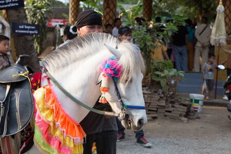 Chiang Mai, Thailand - April 2, 2016: people and horse participate in traditional buddhist monk ordination ceremony at Roy Jun temple in Chiang Mai, Thailand on April 2, 2016.のeditorial素材