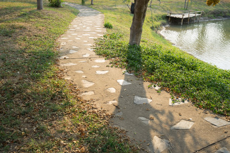 walkway beside lawn yard and pond in park