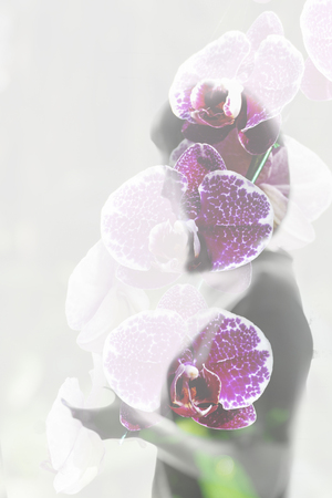 blooming purple phalaenopsis orchid flower with woman shadow - double exposureの写真素材