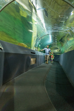 Chiang Mai, Thailand - September 7, 2016: people watch fish in aquatic tunnel in Chiang Mai zoo in Chiang Mai, Thailand on September 7, 2016.のeditorial素材