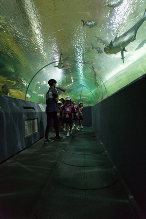 Chiang Mai, Thailand - September 7, 2016: people watch fish in aquatic tunnel in Chiang Mai zoo in Chiang Mai, Thailand on September 7, 2016.のeditorial素材
