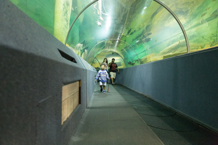 Chiang Mai, Thailand - September 7, 2016: people watch fish in aquatic tunnel in Chiang Mai zoo in Chiang Mai, Thailand on September 7, 2016.のeditorial素材