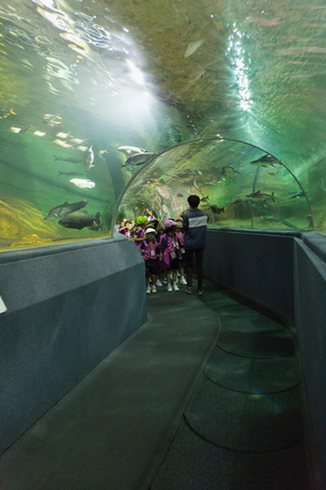 Chiang Mai, Thailand - September 7, 2016: people watch fish in aquatic tunnel in Chiang Mai zoo in Chiang Mai, Thailand on September 7, 2016.のeditorial素材
