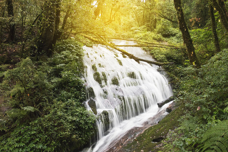 waterfall and creek in tropical jungle rain forestの写真素材