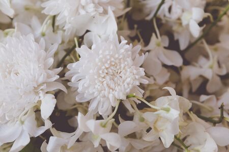 bouquet of blooming white flora flowerの写真素材