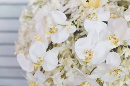 bouquet of blooming white flora flowerの写真素材