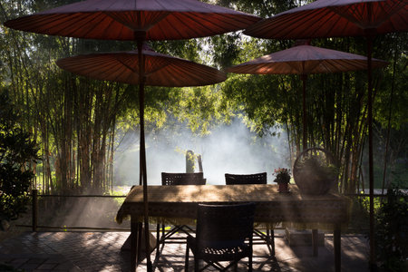 table and chair and red umbrella at patio with light ray through bamboo tree in gardenの写真素材