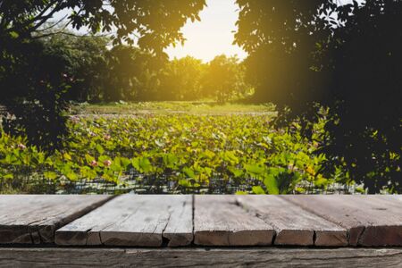 wood table for montage or display your product with blur background of pink water lily in pondの写真素材