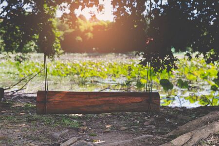 wood swing tied to a branch of big tree beside pond in parkの写真素材