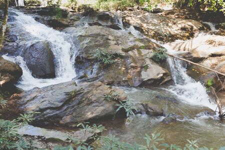 waterfall cascade and creek stream in forestの写真素材