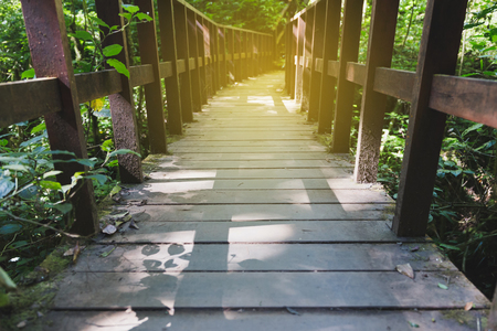 walkway in forest at Kew Mae Pan Nature Trail at Doi Inthanon National Park in winter season in Chiangmai,Thailandの写真素材