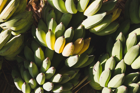Bunch of raw and ripe bananas at grocery storeの写真素材