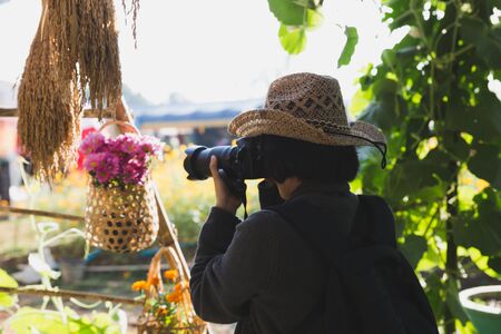 female woman photographer taking photo of pink flower outdoorの写真素材