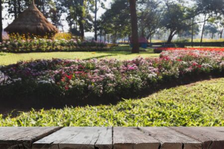 lawn and flowerbed in garden, spring flower park (blur image) with selected focus empty wood table for display your productの写真素材