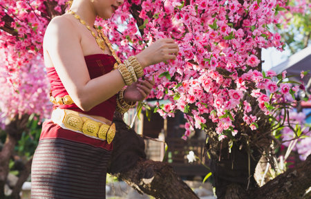 Thai woman wearing typical Thai dress, identity culture of Thailand in garden decorating with pink cherry blossom flowerの写真素材