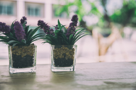 purple artificial flower in small glass pot on a wooden desk beside windowの写真素材
