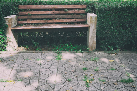 wood bench beside pathway in green public park