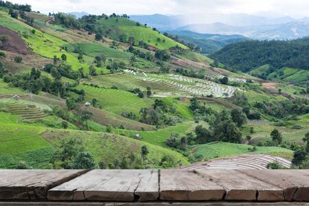 green rice field on terrace in mountain valley with wood table for display your product. beautiful nature landscape in rainy season. cultivation, agriculture industryの写真素材