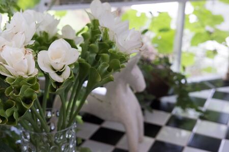 bouquet of white siam tulip flower in vase on table near window with garden view. decoration and interiorの写真素材