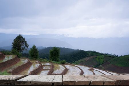 green rice field on terrace in mountain valley with wood table for display your product. beautiful nature landscape in rainy season. cultivation, agriculture industryの写真素材