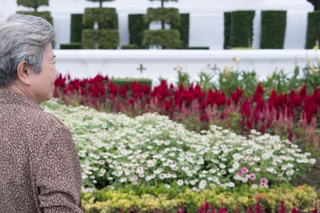 asian elder woman standing in garden. elderly senior female resting and relaxing in parkの写真素材