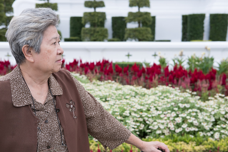 asian elder woman standing in garden. elderly senior female resting and relaxing in parkの写真素材