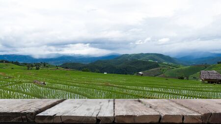green rice field on terrace in mountain valley. beautiful nature landscape in rainy season. cultivation, agriculture industry with wood table for display your productの写真素材