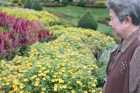asian elder woman standing in garden. elderly senior female resting and relaxing in parkの写真素材