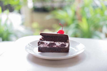 slice of dark chocolate cake with cherry sauce. tasty delicious dessert on white plate. homemade bakery pastryの写真素材