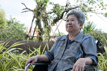 asian elder woman in wheelchair resting in garden. elderly female relaxing in park. senior leisure lifestyle outdoors.の写真素材