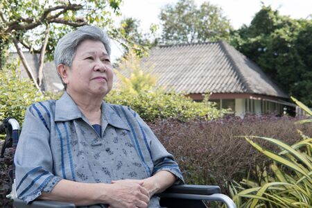 asian elder woman in wheelchair resting in garden. elderly female relaxing in park. senior leisure lifestyle outdoors.の写真素材