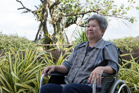 asian elder woman in wheelchair resting in garden. elderly female relaxing in park. senior leisure lifestyle outdoors.の写真素材