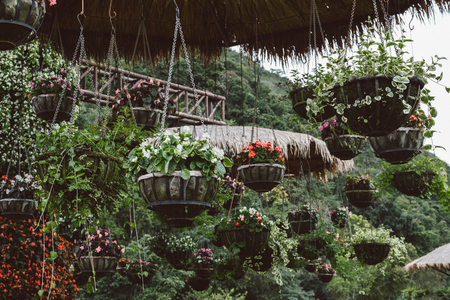 flower pot hanging with chain on roof in parkの写真素材