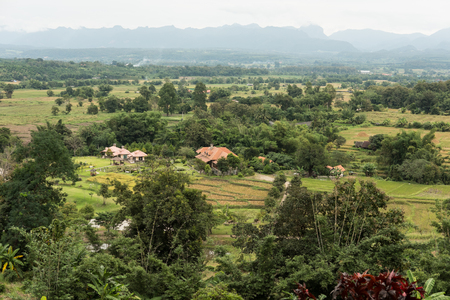 rural landscape in Thailand. forest & mountain in morning. nature viewの写真素材