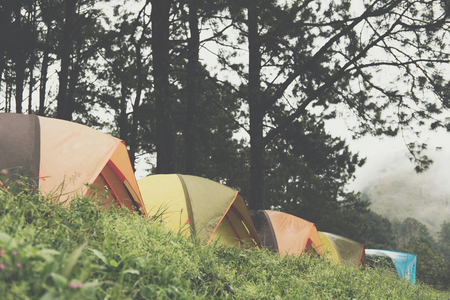 tourist tent in mist & fog. camping in pine tree forest. travel, vacation, nature conceptの写真素材
