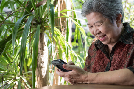asian elder woman holding mobile phone in garden. elderly female texting message, using app with cellphone. senior use smartphone to connect social networkの写真素材