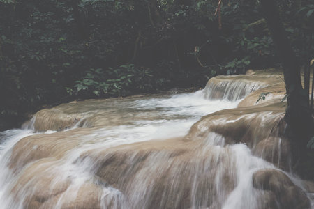 waterfall in rainforest. cascade in forest. water flowing in tropical jungle in spring