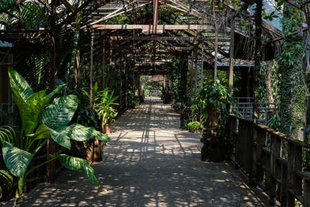 perspective view of walkway in park. pathway in building near gardenの写真素材