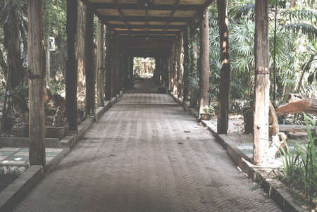 perspective view of walkway in park. pathway in building near gardenの写真素材