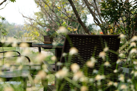 round wood table on terrace of house. wicker rattan chair on patio near garden at home. relaxing...
