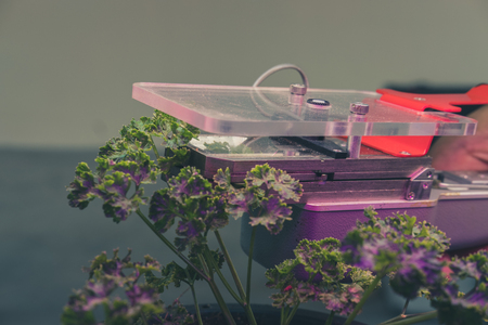 carbon dioxide measuring device for measuring photosynthesis of plant growing with artificial led lightの写真素材