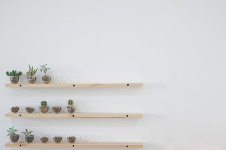succulent cactus plant in pot decorating on wooden shelf on white wall