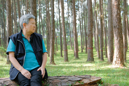 asian elder woman resting in pine tree forest. elderly female relaxing in park. senior leisure lifestyle outdoors.の写真素材