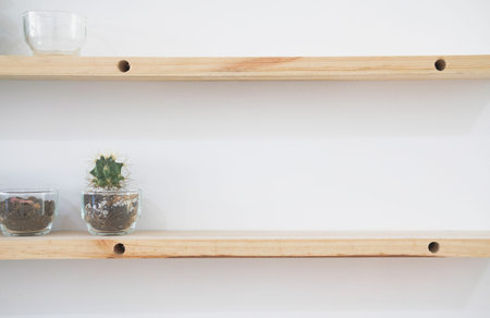 succulent cactus plant in pot decorating on wooden shelf on white wall